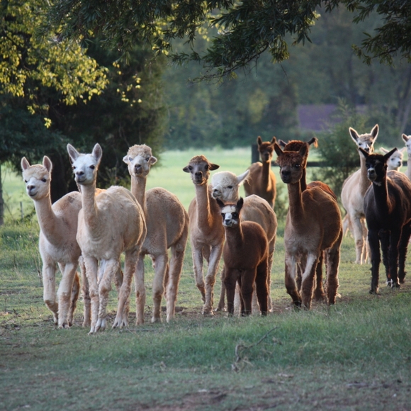 Meet your Posher, Kristen - Picture 7 of 7